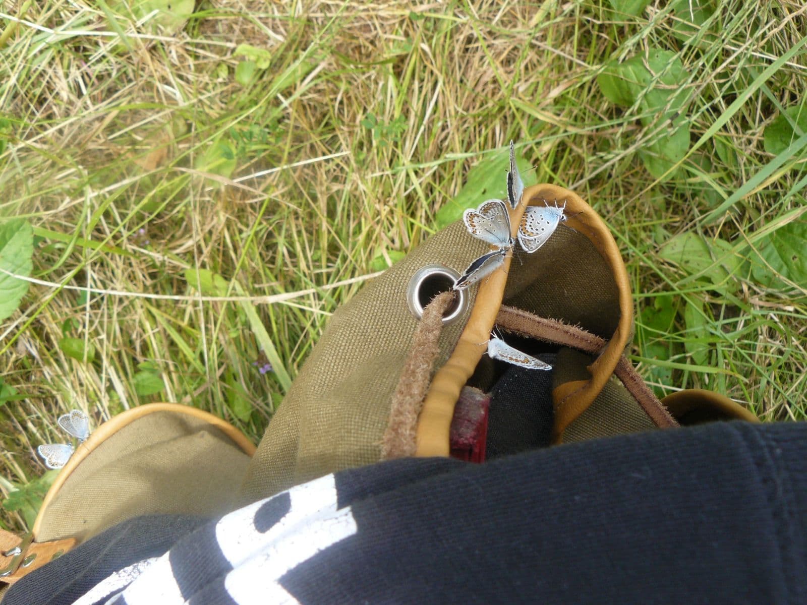 plot for sale, 13,139 m², Lubina, Trenčiansky Region plot for sale, 13,139 m², Lubina, Trenčiansky Region