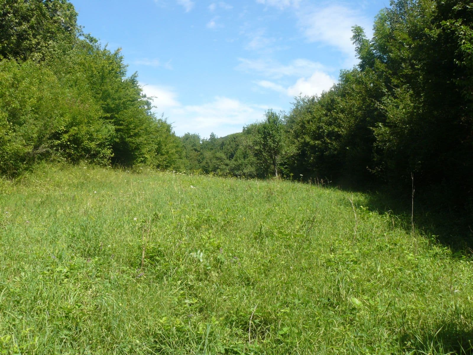 plot for sale, 13,139 m², Lubina, Trenčiansky Region plot for sale, 13,139 m², Lubina, Trenčiansky Region