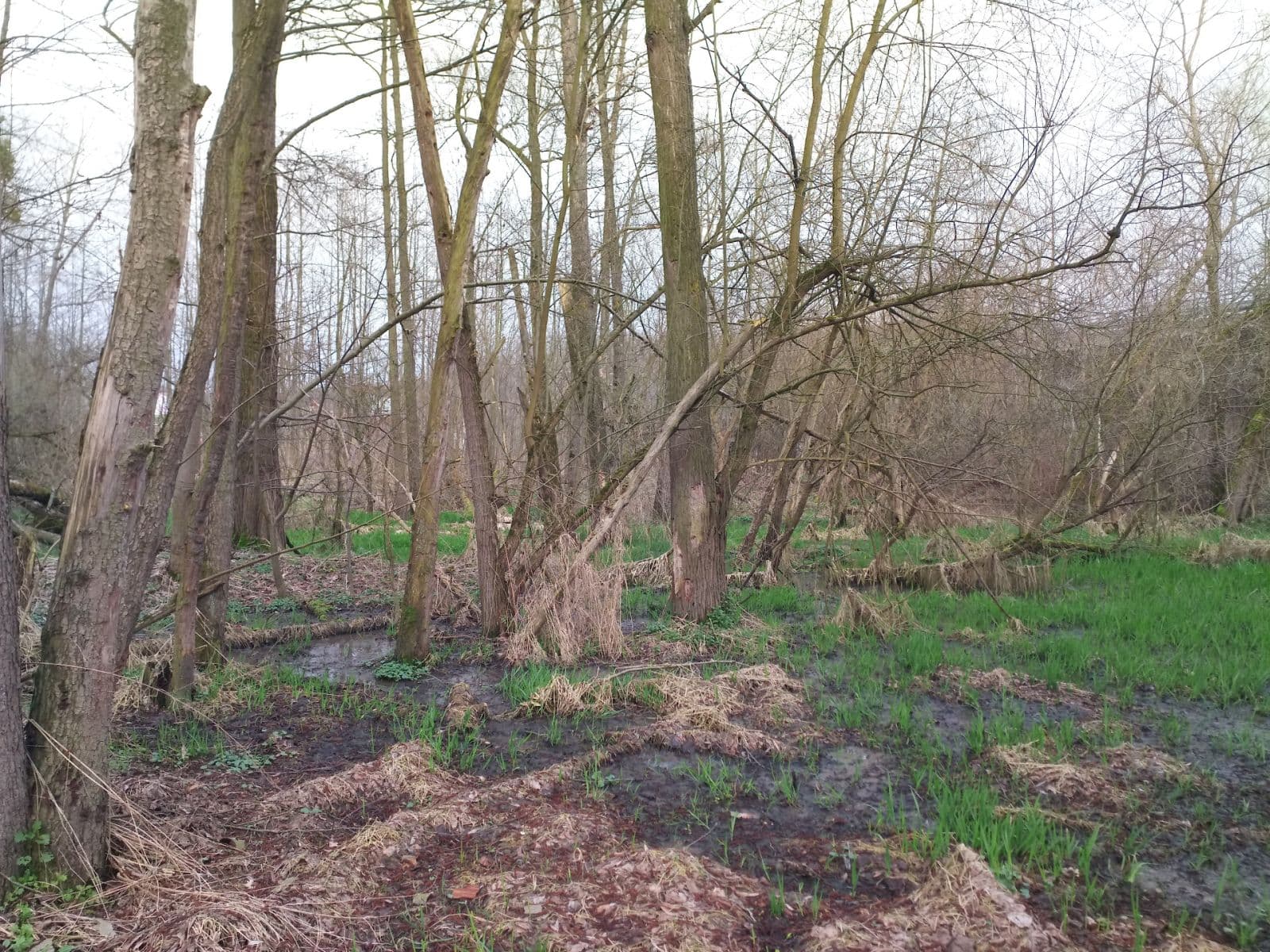 plot for sale, 2,638 m², Klimkovice, Moravskoslezský Region plot for sale, 2,638 m², Klimkovice, Moravskoslezský Region