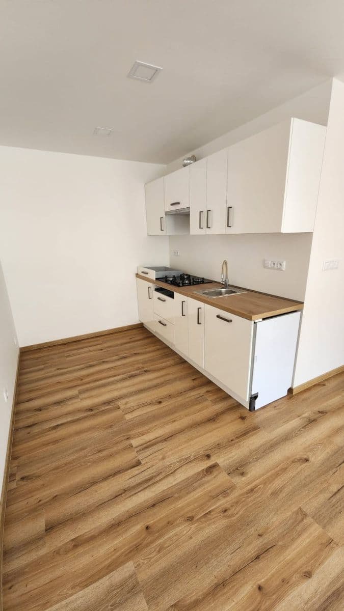 1 bedroom with open-plan kitchen flat to rent, 40 m², Milínská, Příbram, Středočeský Region 1 bedroom with open-plan kitchen flat to rent, 40 m², Milínská, Příbram, Středočeský Region