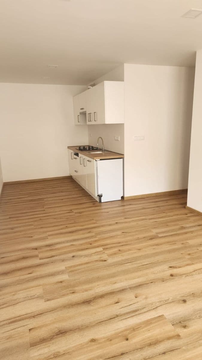 1 bedroom with open-plan kitchen flat to rent, 40 m², Milínská, Příbram, Středočeský Region 1 bedroom with open-plan kitchen flat to rent, 40 m², Milínská, Příbram, Středočeský Region