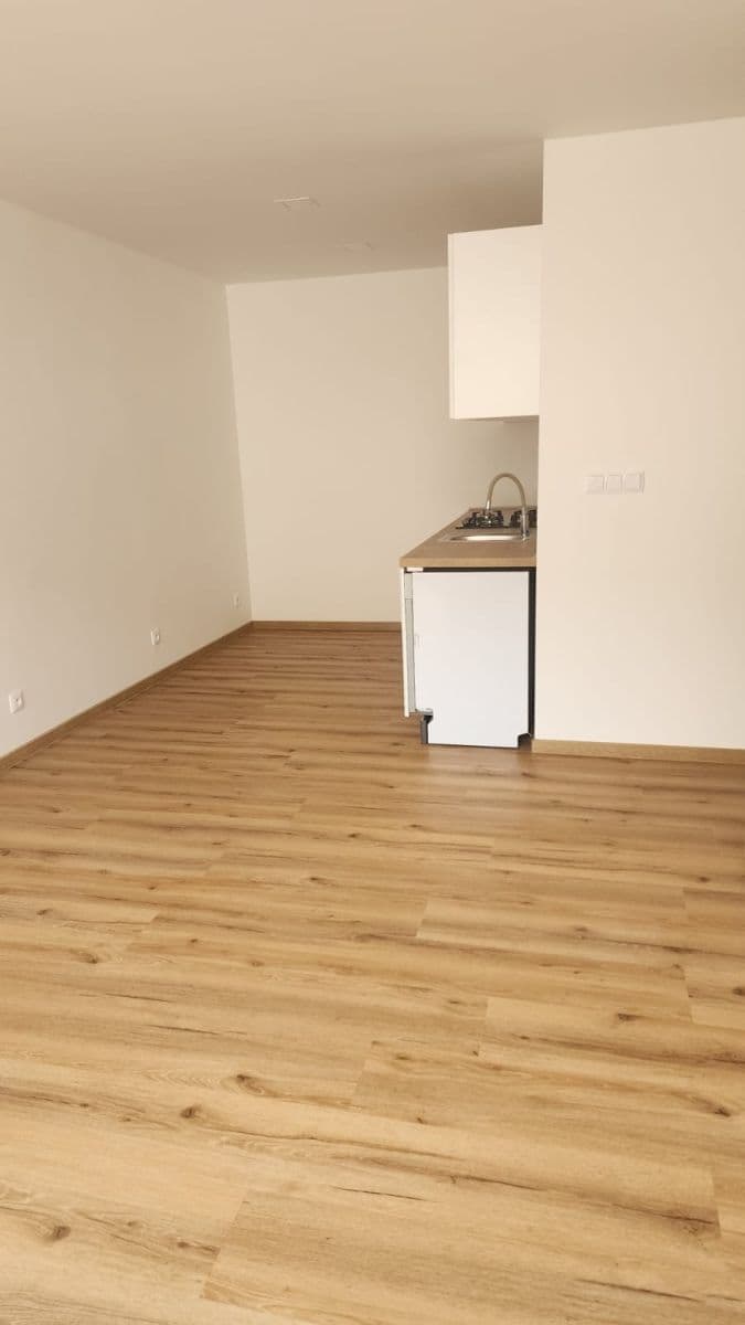 1 bedroom with open-plan kitchen flat to rent, 40 m², Milínská, Příbram, Středočeský Region 1 bedroom with open-plan kitchen flat to rent, 40 m², Milínská, Příbram, Středočeský Region