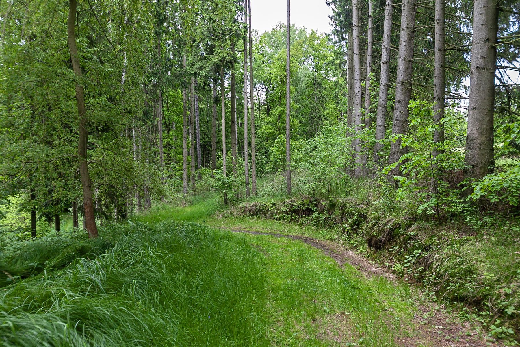 plot for sale, 14,573 m², Předlánce, Višňová, Liberecký Region plot for sale, 14,573 m², Předlánce, Višňová, Liberecký Region