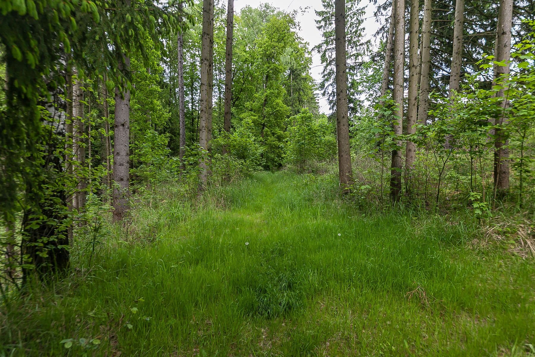 plot for sale, 33,624 m², Předlánce, Višňová, Liberecký Region plot for sale, 33,624 m², Předlánce, Višňová, Liberecký Region