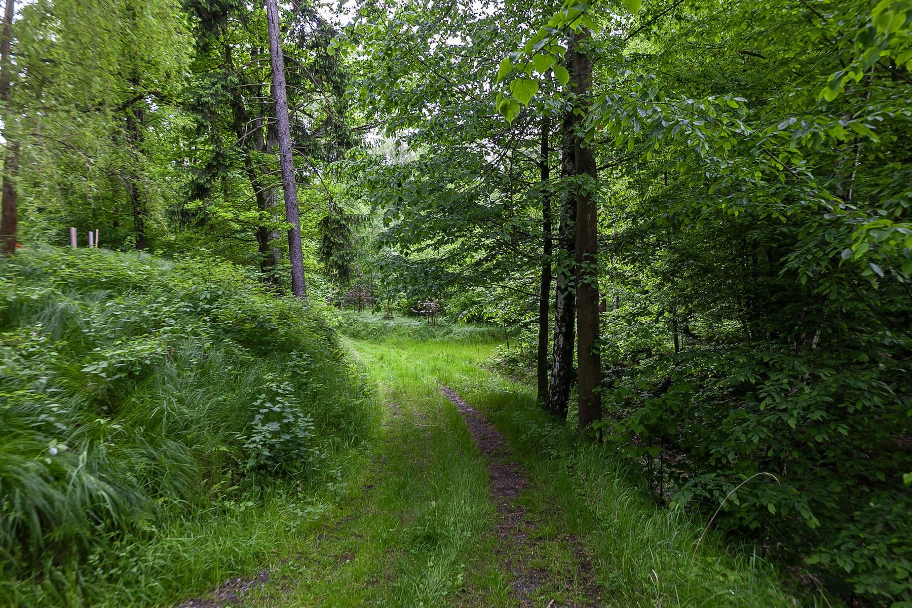 plot for sale, 33,624 m², Předlánce, Višňová, Liberecký Region plot for sale, 33,624 m², Předlánce, Višňová, Liberecký Region