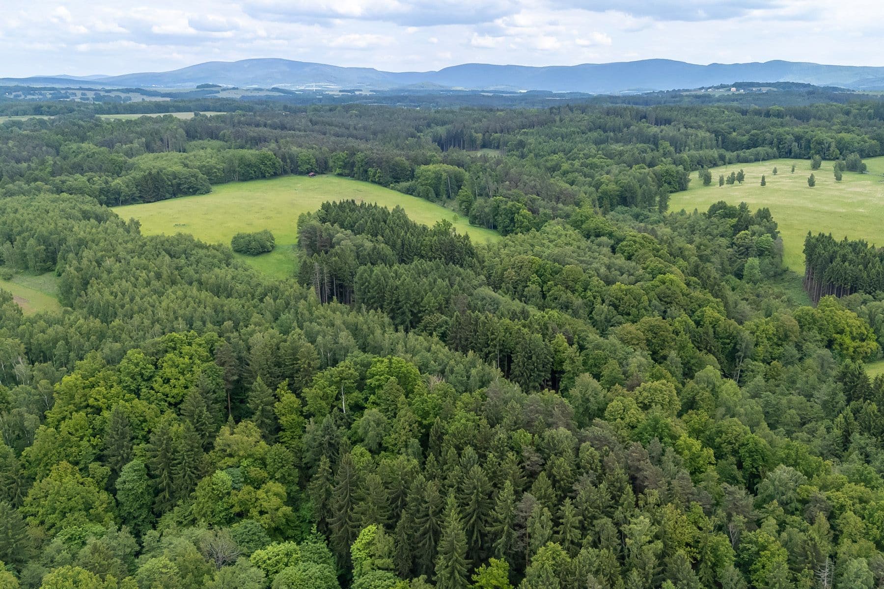 plot for sale, 33,624 m², Předlánce, Višňová, Liberecký Region plot for sale, 33,624 m², Předlánce, Višňová, Liberecký Region