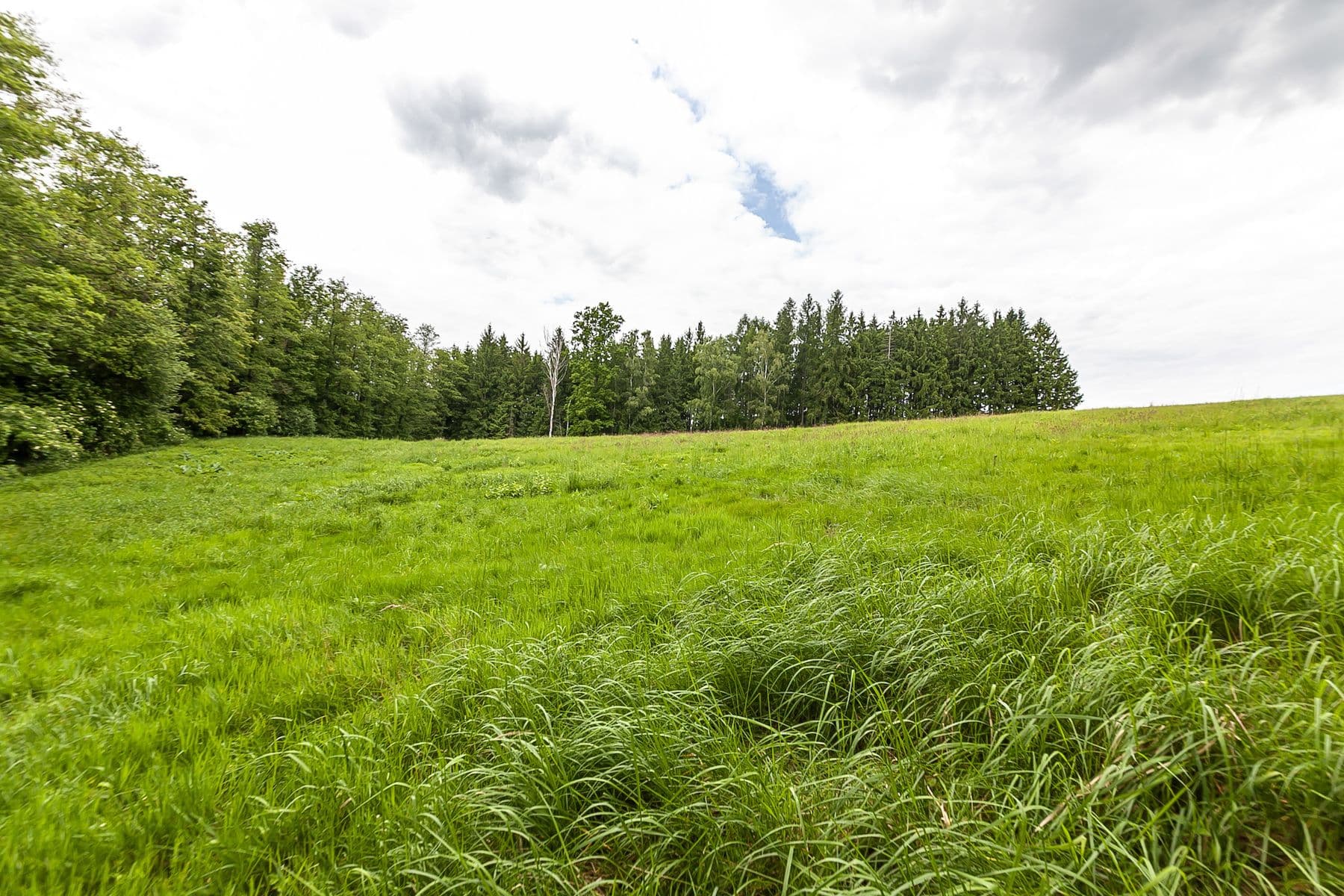 plot for sale, 33,624 m², Předlánce, Višňová, Liberecký Region plot for sale, 33,624 m², Předlánce, Višňová, Liberecký Region