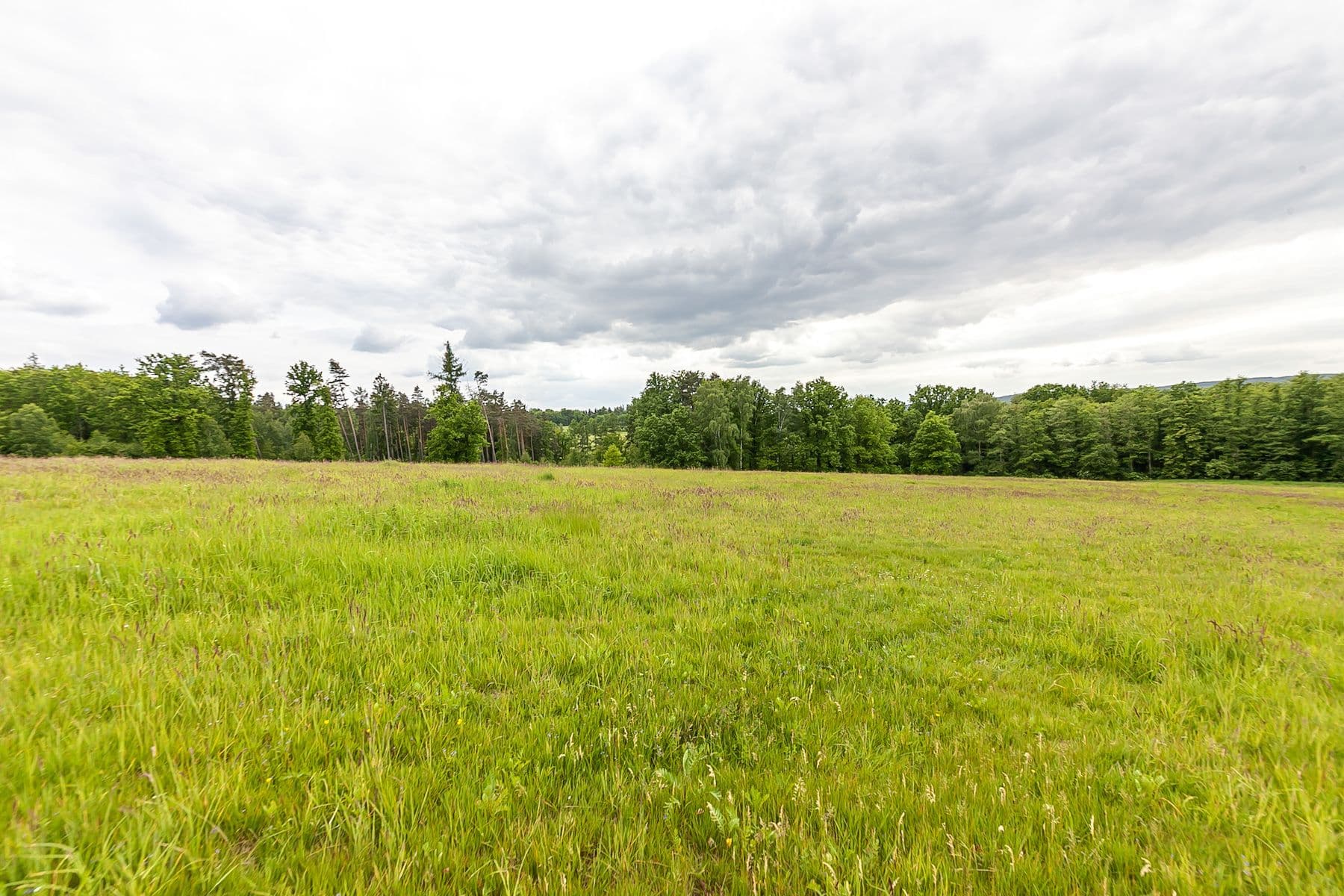 plot for sale, 33,624 m², Předlánce, Višňová, Liberecký Region plot for sale, 33,624 m², Předlánce, Višňová, Liberecký Region