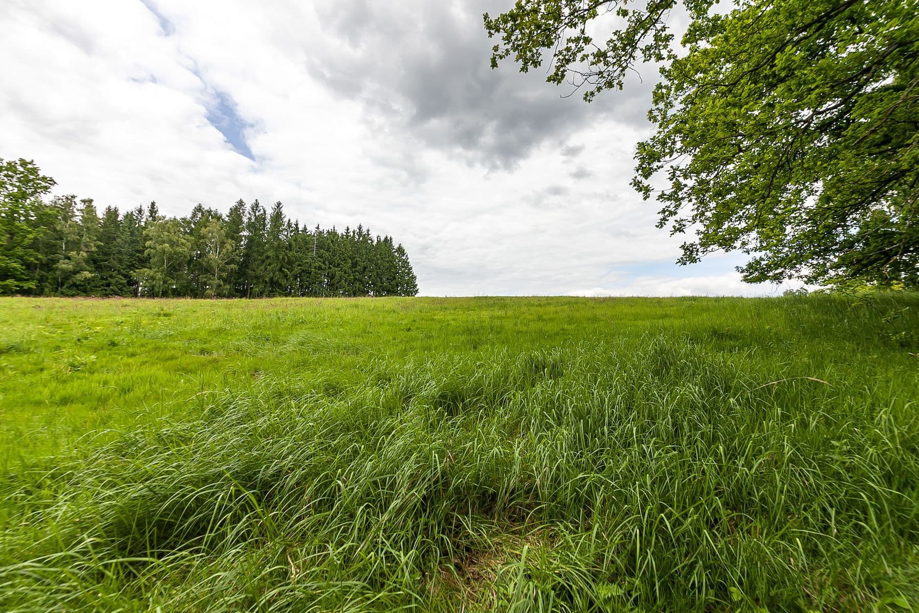 plot for sale, 53,442 m², Višňová, Liberecký Region plot for sale, 53,442 m², Višňová, Liberecký Region