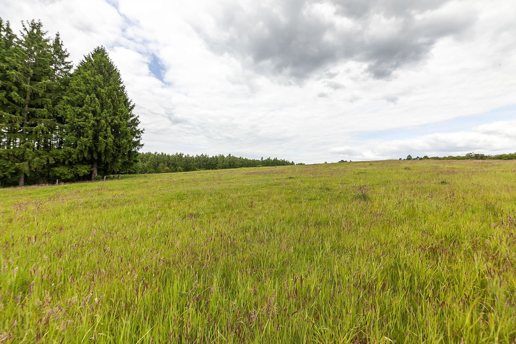 plot for sale, 53,442 m², Višňová, Liberecký Region plot for sale, 53,442 m², Višňová, Liberecký Region