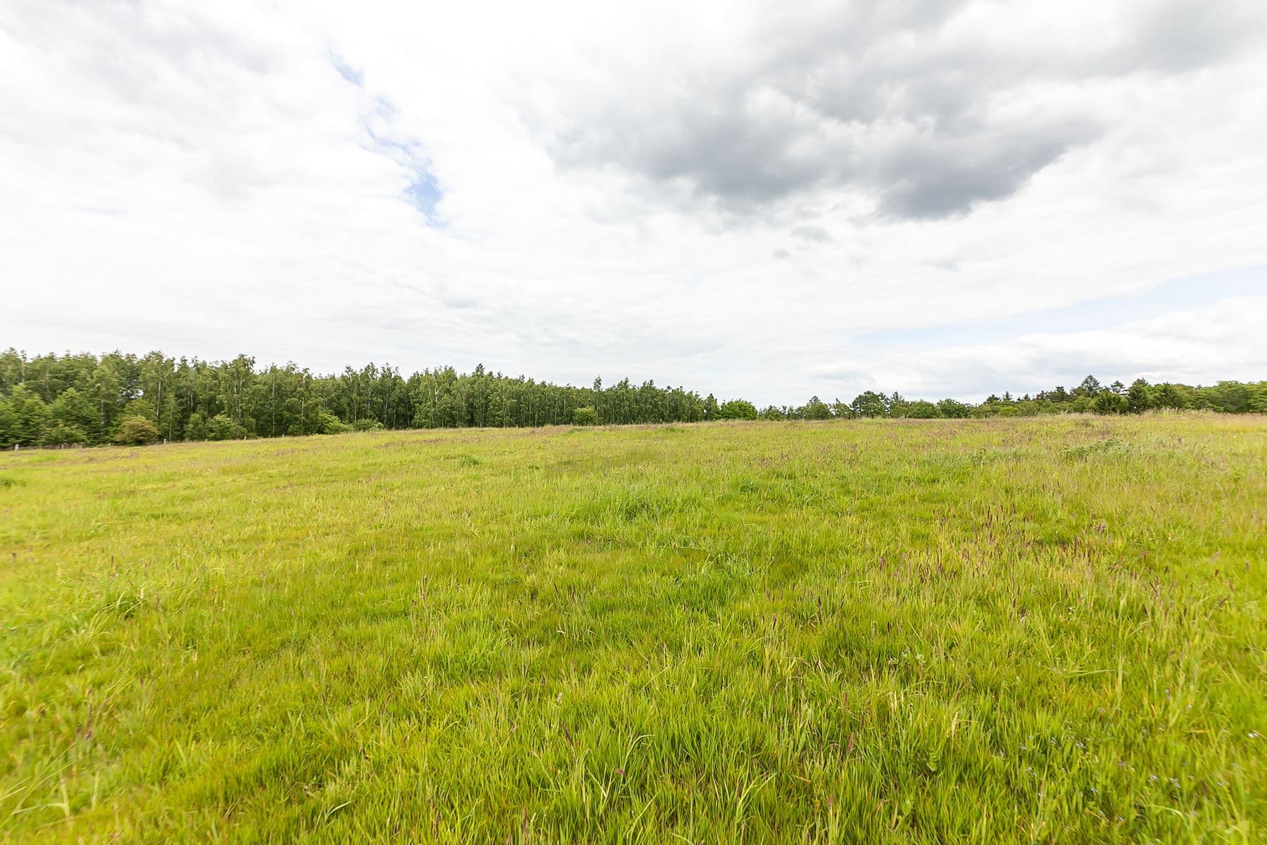 plot for sale, 53,442 m², Višňová, Liberecký Region plot for sale, 53,442 m², Višňová, Liberecký Region