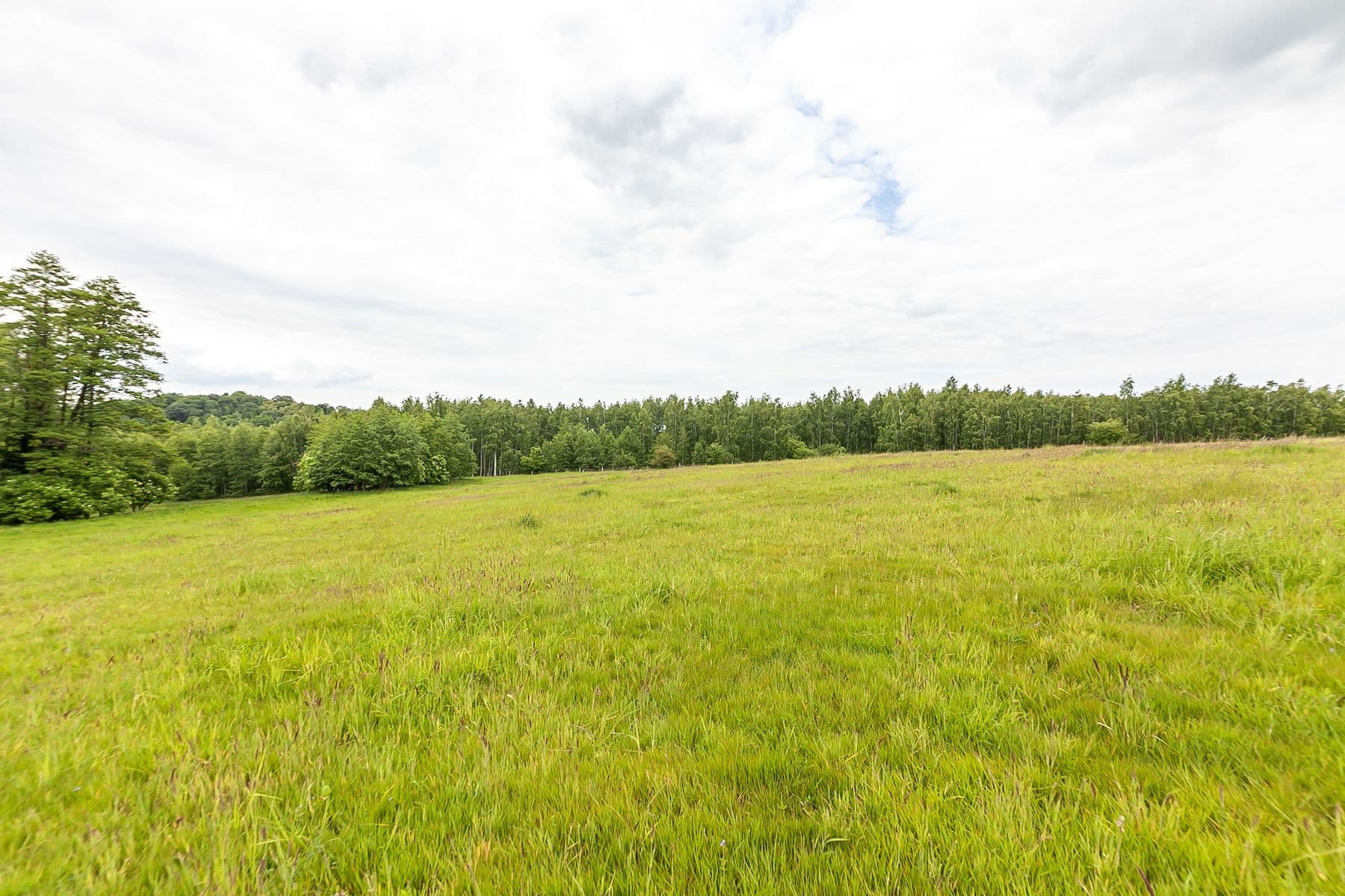 plot for sale, 53,442 m², Višňová, Liberecký Region plot for sale, 53,442 m², Višňová, Liberecký Region