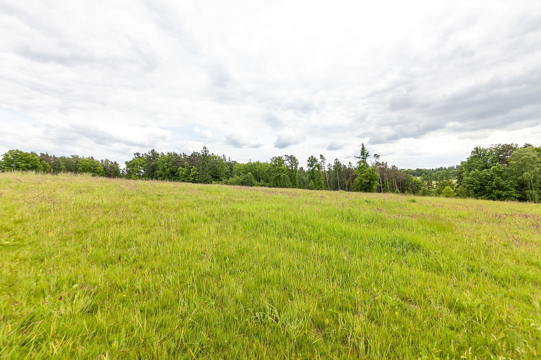 plot for sale, 53,442 m², Višňová, Liberecký Region plot for sale, 53,442 m², Višňová, Liberecký Region