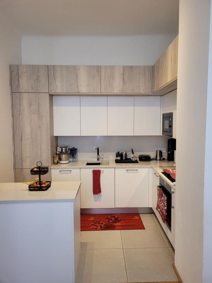 3 bedroom with open-plan kitchen flat to rent, 99 m², Drtinova, Prague, Prague 3 bedroom with open-plan kitchen flat to rent, 99 m², Drtinova, Prague, Prague