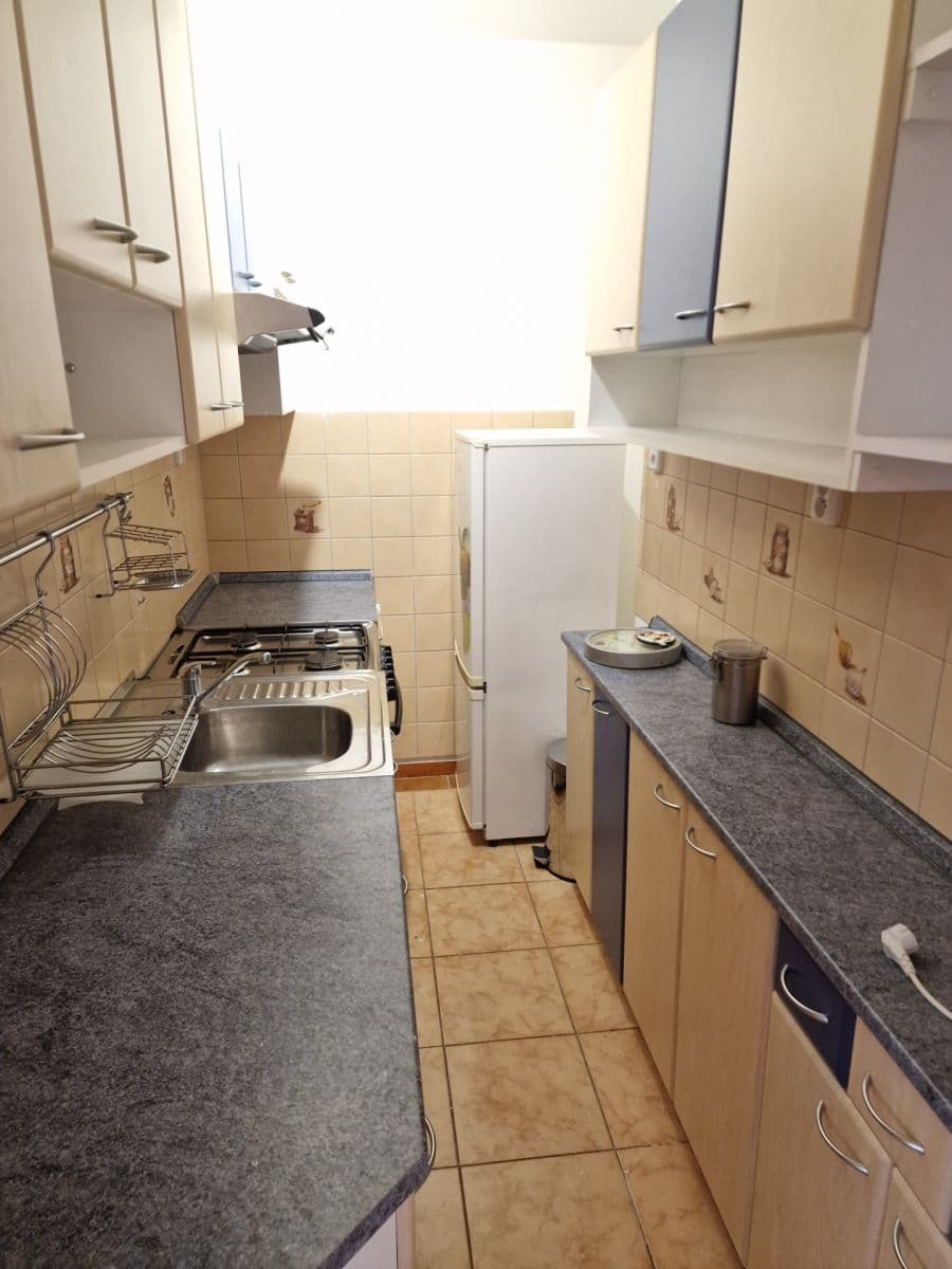 1 bedroom with open-plan kitchen flat to rent, 55 m², Na Úvoze, Zruč nad Sázavou, Středočeský Region 1 bedroom with open-plan kitchen flat to rent, 55 m², Na Úvoze, Zruč nad Sázavou, Středočeský Region
