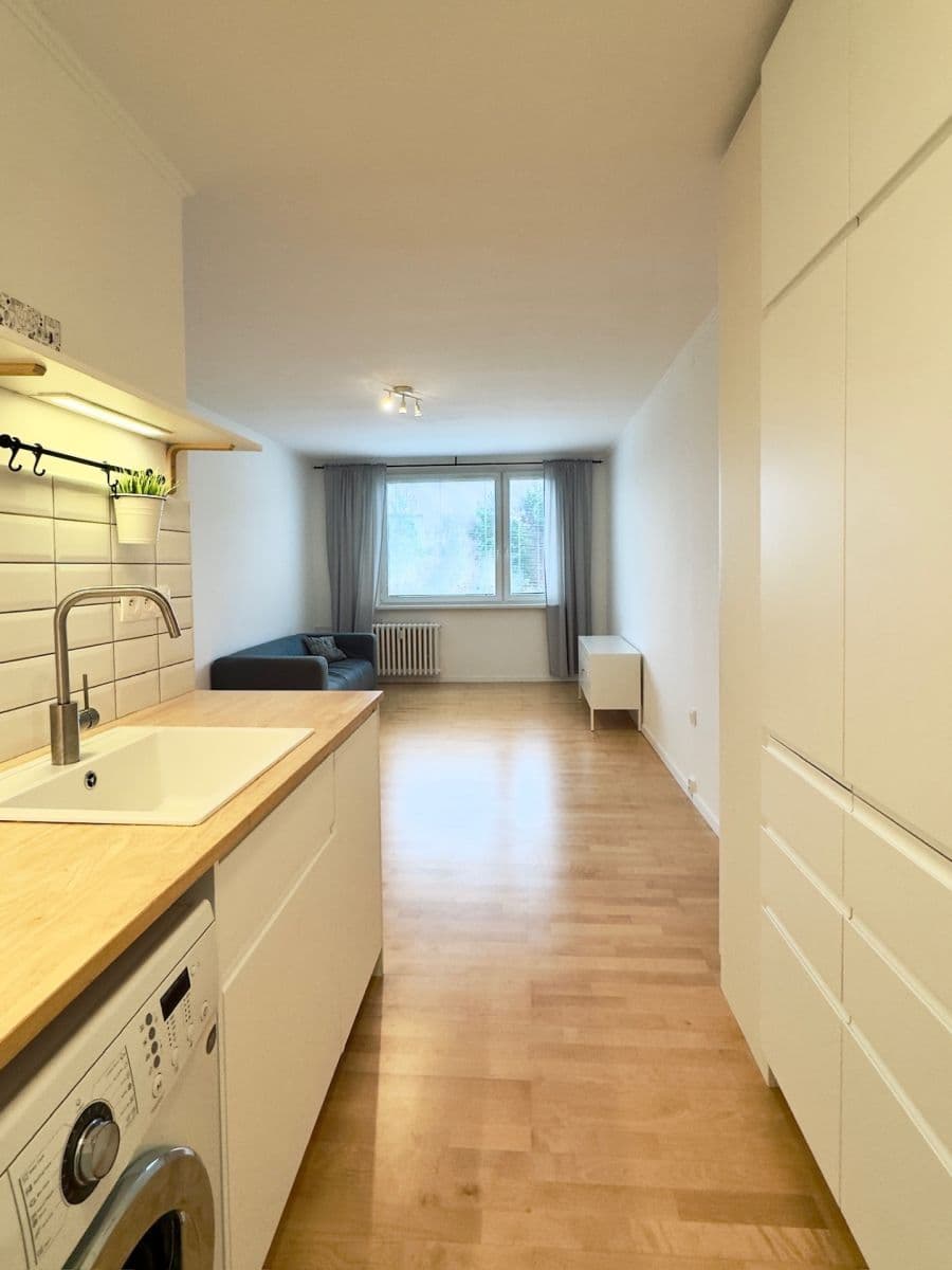 1 bedroom with open-plan kitchen flat to rent, 44 m², Sulova, Prague, Prague 1 bedroom with open-plan kitchen flat to rent, 44 m², Sulova, Prague, Prague