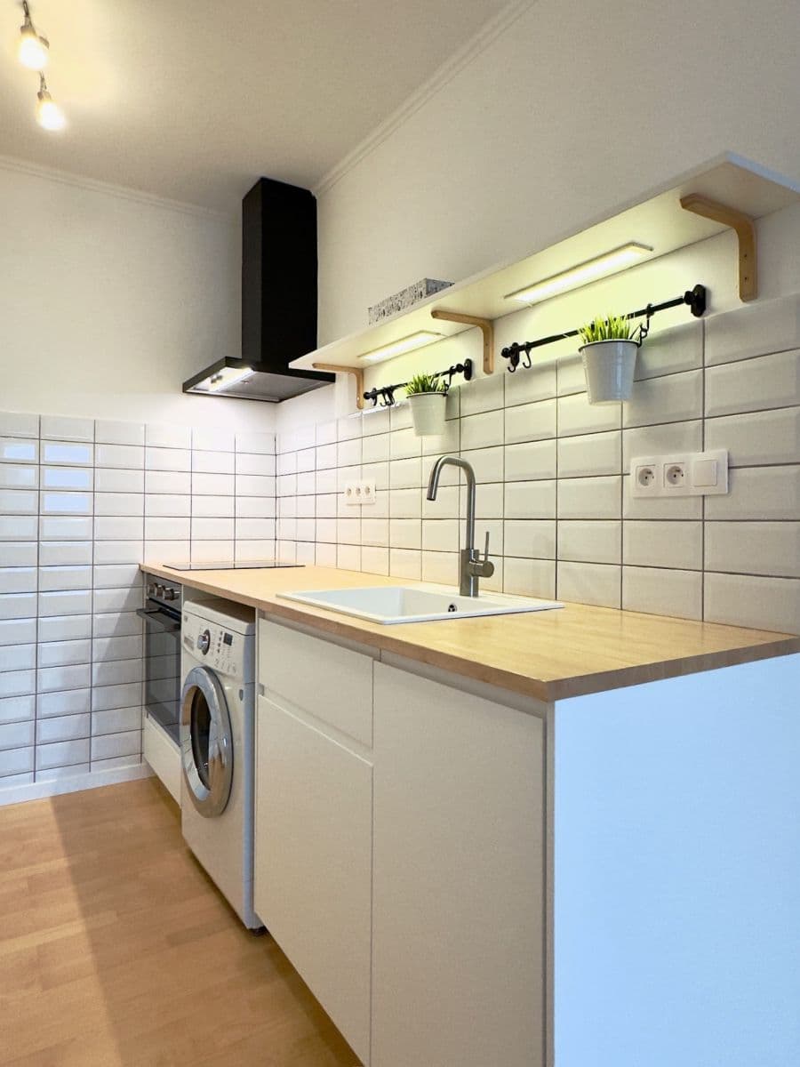 1 bedroom with open-plan kitchen flat to rent, 44 m², Sulova, Prague, Prague 1 bedroom with open-plan kitchen flat to rent, 44 m², Sulova, Prague, Prague