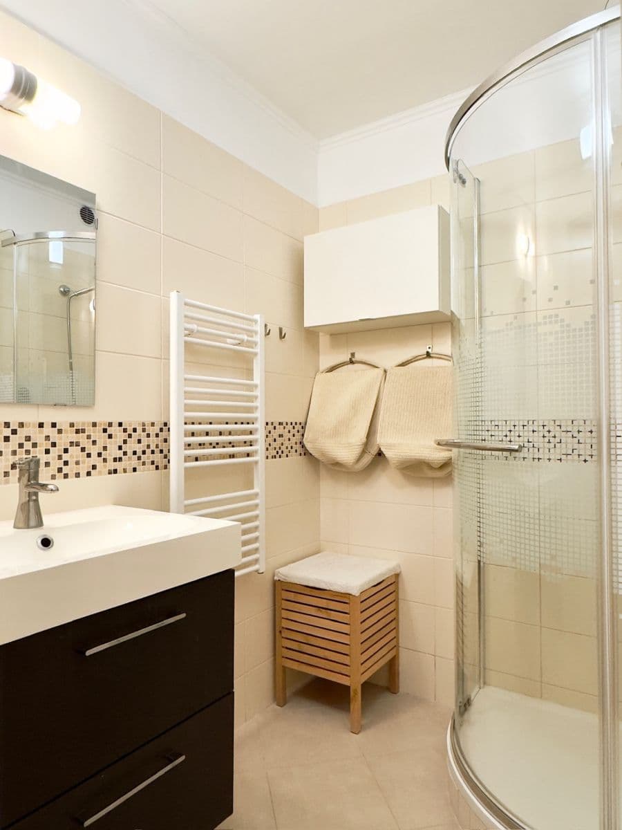 1 bedroom with open-plan kitchen flat to rent, 44 m², Sulova, Prague, Prague 1 bedroom with open-plan kitchen flat to rent, 44 m², Sulova, Prague, Prague