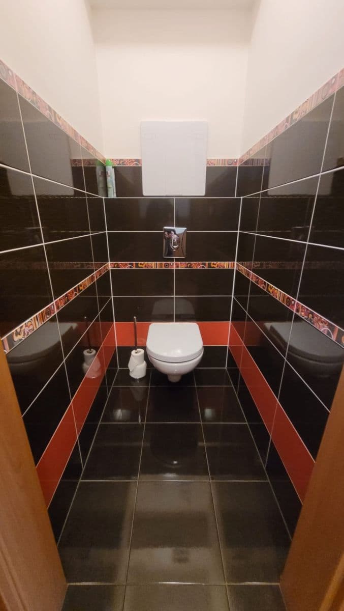 1 bedroom with open-plan kitchen flat to rent, 57 m², Blšanecká, Prague, Prague 1 bedroom with open-plan kitchen flat to rent, 57 m², Blšanecká, Prague, Prague