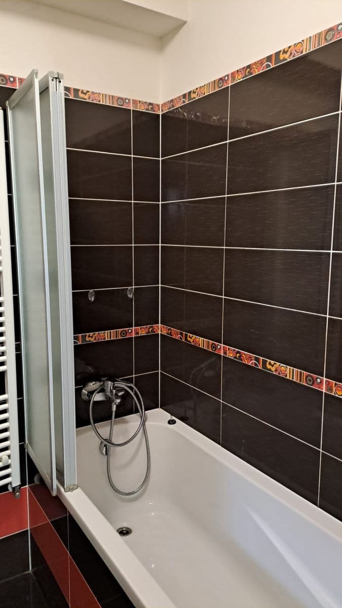 1 bedroom with open-plan kitchen flat to rent, 57 m², Blšanecká, Prague, Prague 1 bedroom with open-plan kitchen flat to rent, 57 m², Blšanecká, Prague, Prague