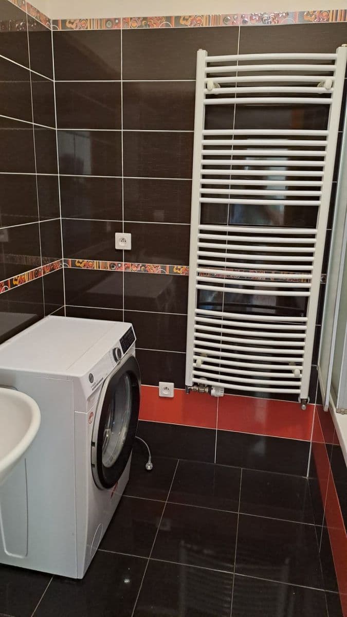 1 bedroom with open-plan kitchen flat to rent, 57 m², Blšanecká, Prague, Prague 1 bedroom with open-plan kitchen flat to rent, 57 m², Blšanecká, Prague, Prague