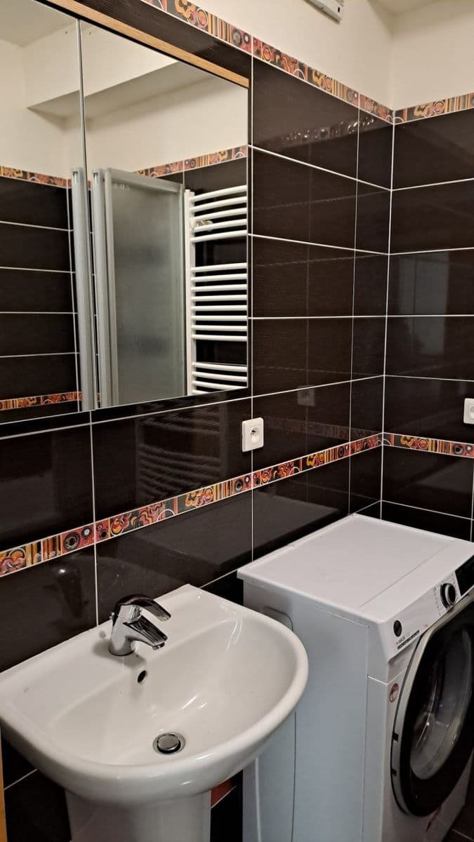 1 bedroom with open-plan kitchen flat to rent, 57 m², Blšanecká, Prague, Prague 1 bedroom with open-plan kitchen flat to rent, 57 m², Blšanecká, Prague, Prague