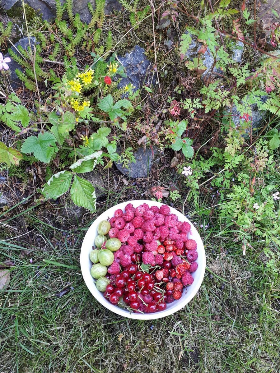 recreational property for sale, 648 m², Bratronice, Středočeský Region recreational property for sale, 648 m², Bratronice, Středočeský Region