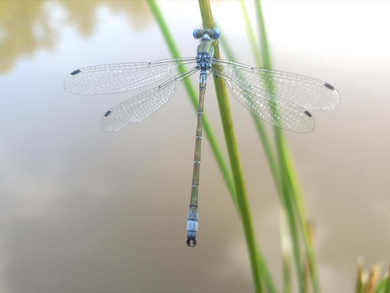 recreational property to rent, 0 m², Třemešné, Plzeňský Region recreational property to rent, 0 m², Třemešné, Plzeňský Region