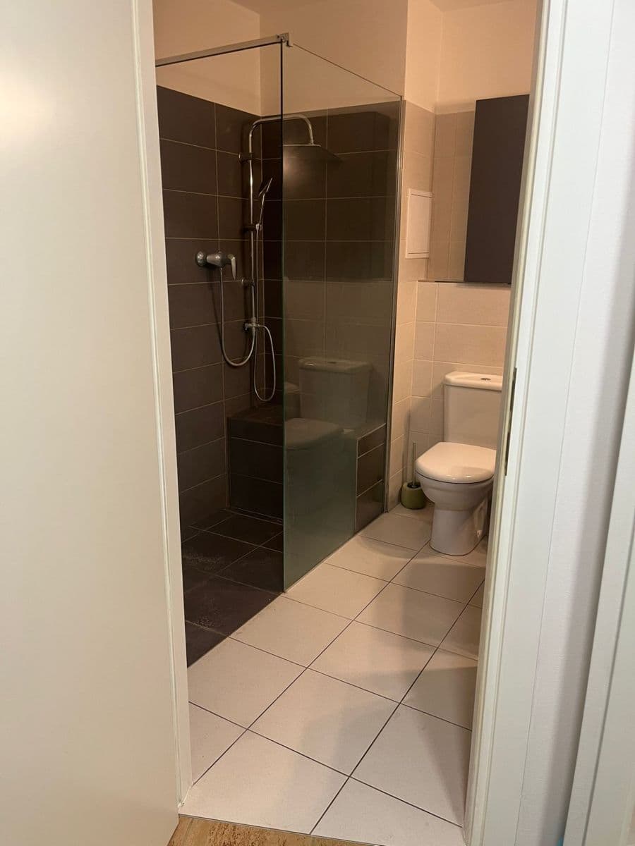 2 bedroom with open-plan kitchen flat to rent, 101 m², Máslova, Prague, Prague 2 bedroom with open-plan kitchen flat to rent, 101 m², Máslova, Prague, Prague
