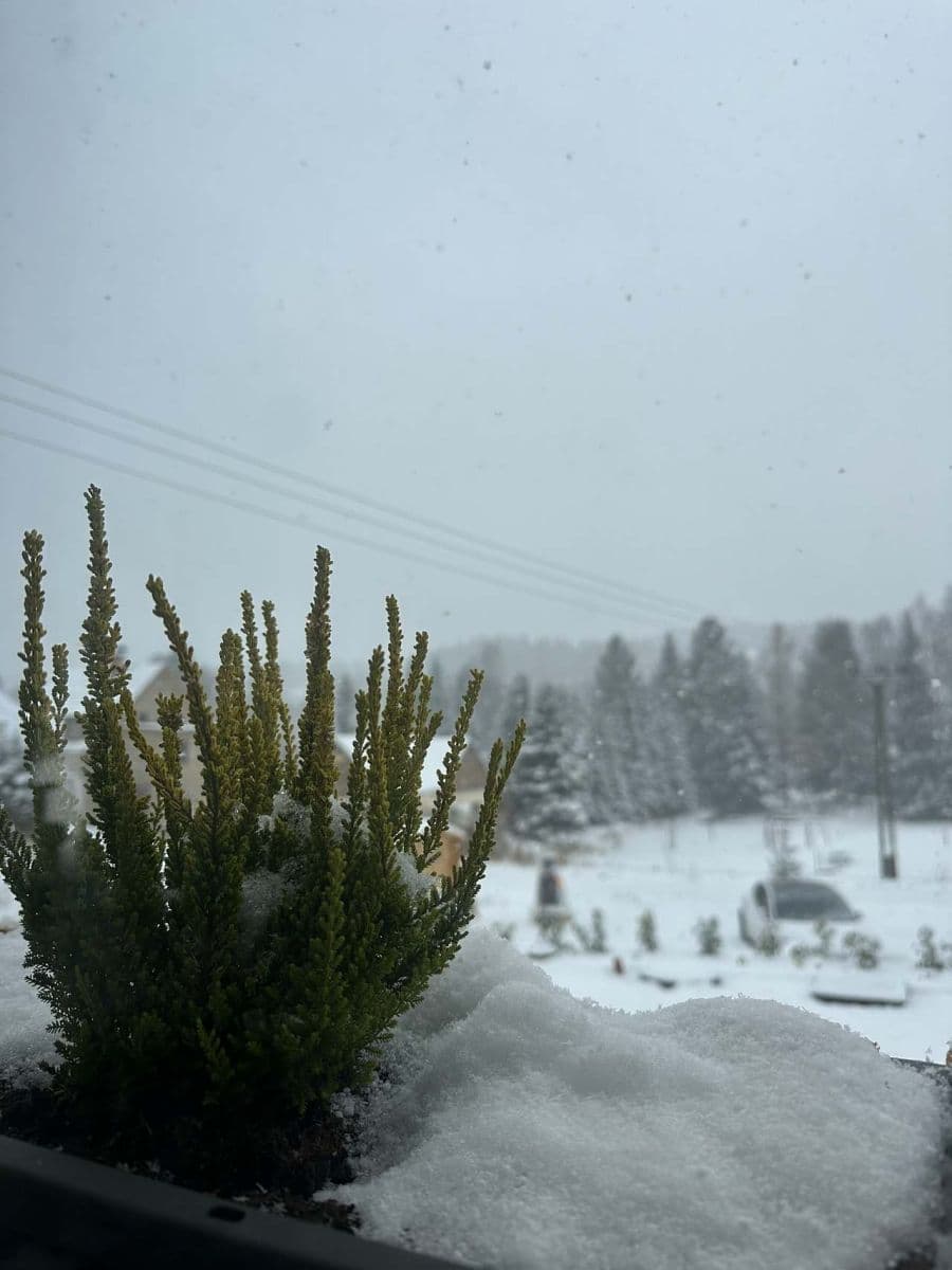 recreational property to rent, 0 m², Tanvald, Liberecký Region recreational property to rent, 0 m², Tanvald, Liberecký Region