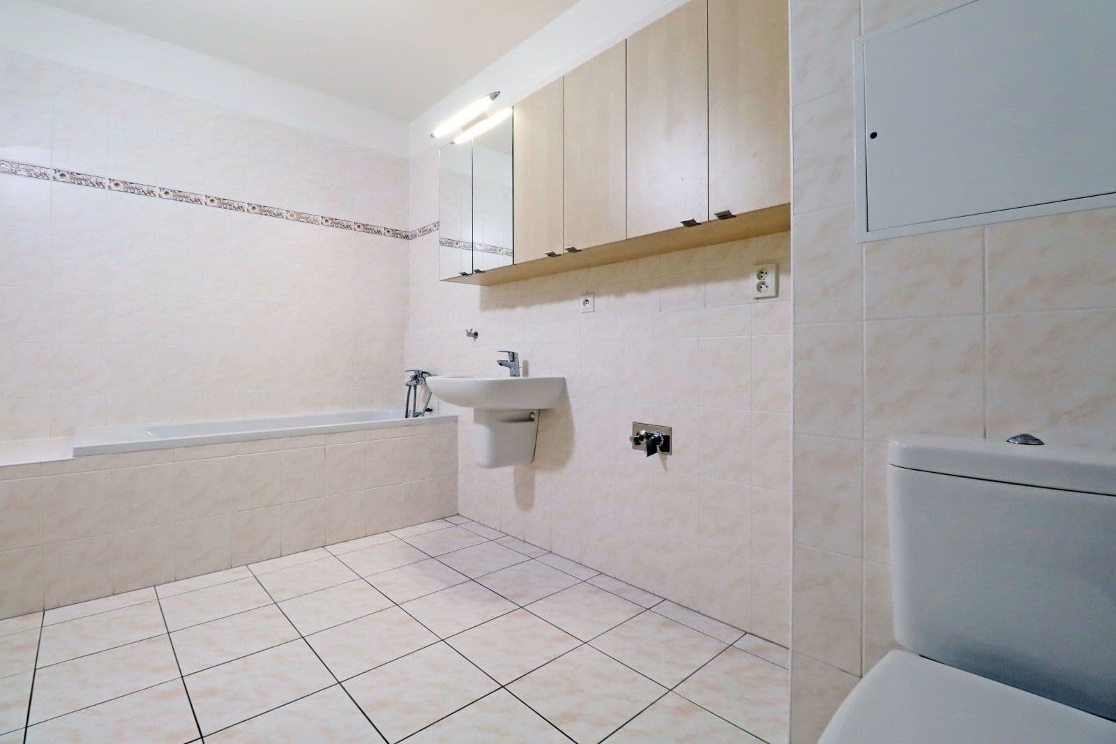 1 bedroom with open-plan kitchen flat to rent, 56 m², Marešova, Prague, Prague 1 bedroom with open-plan kitchen flat to rent, 56 m², Marešova, Prague, Prague