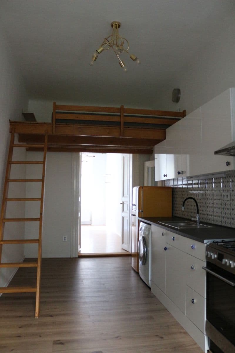 1 bedroom with open-plan kitchen flat to rent, 41 m², Bořivojova, Prague, Prague 1 bedroom with open-plan kitchen flat to rent, 41 m², Bořivojova, Prague, Prague