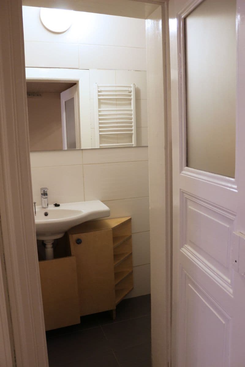 1 bedroom with open-plan kitchen flat to rent, 41 m², Bořivojova, Prague, Prague 1 bedroom with open-plan kitchen flat to rent, 41 m², Bořivojova, Prague, Prague