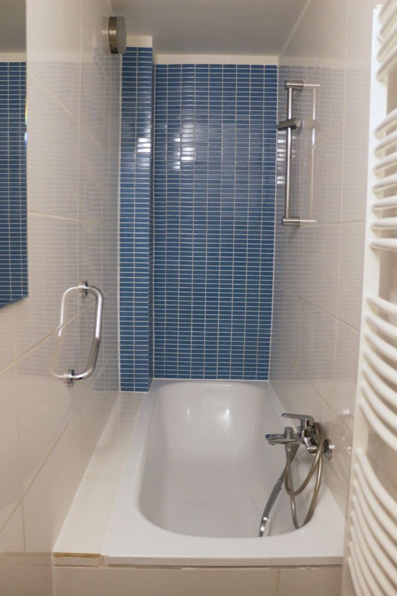 1 bedroom with open-plan kitchen flat to rent, 41 m², Bořivojova, Prague, Prague 1 bedroom with open-plan kitchen flat to rent, 41 m², Bořivojova, Prague, Prague