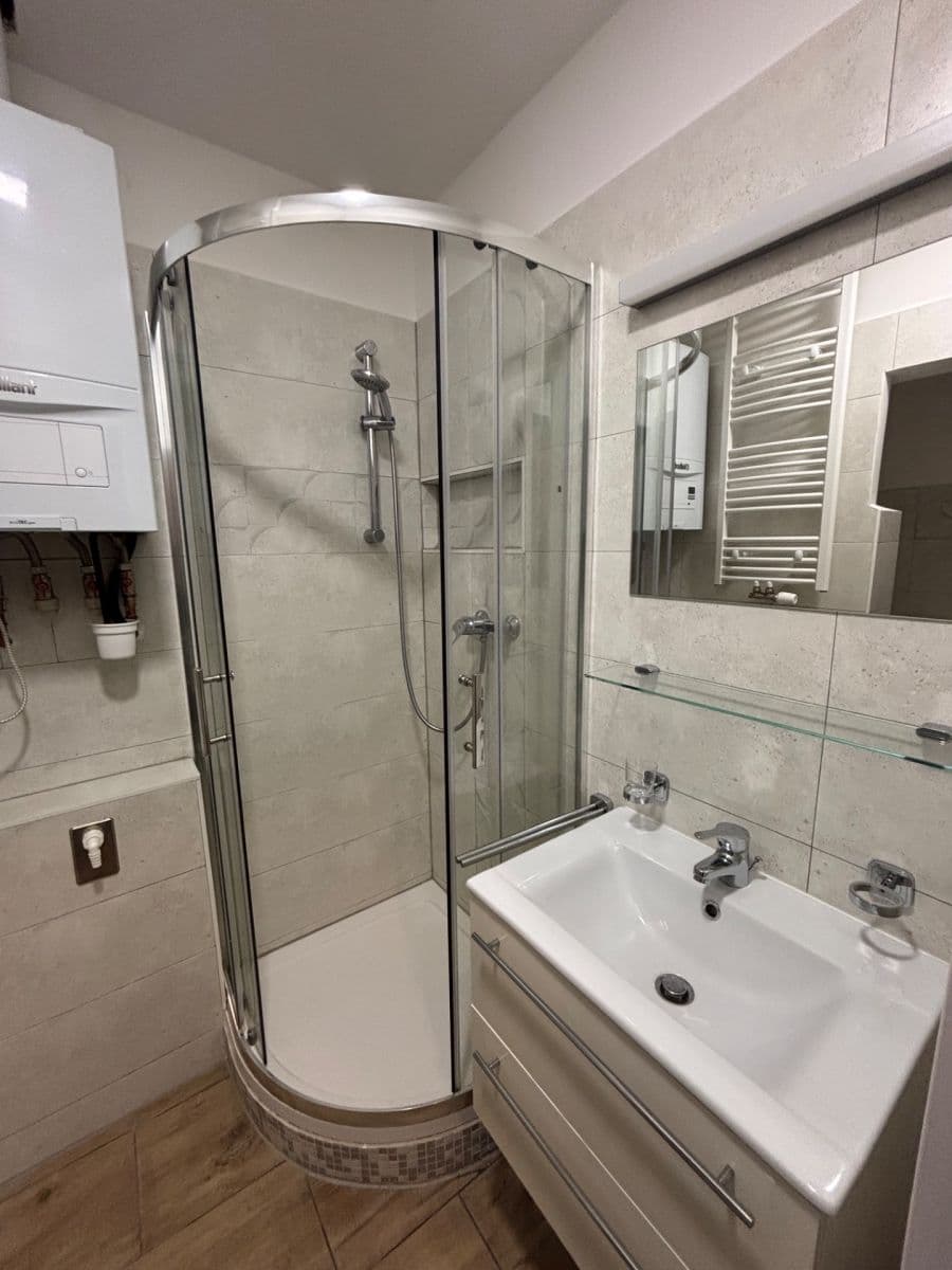 1 bedroom with open-plan kitchen flat to rent, 50 m², U První baterie, Prague, Prague 1 bedroom with open-plan kitchen flat to rent, 50 m², U První baterie, Prague, Prague