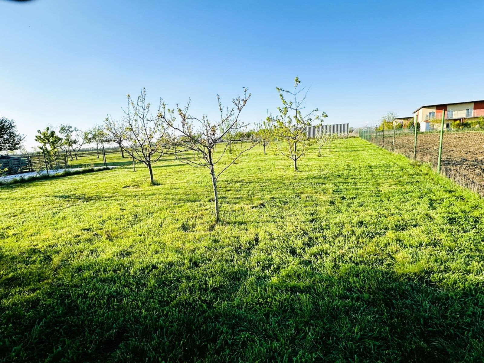 house for sale, 234 m², Božická, Šanov, Jihomoravský Region house for sale, 234 m², Božická, Šanov, Jihomoravský Region