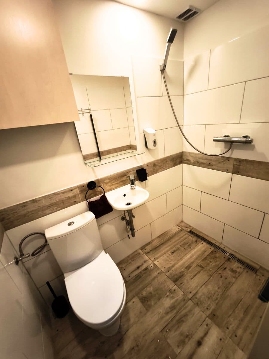 flat to rent, 19 m², Lucemburská, Prague, Prague flat to rent, 19 m², Lucemburská, Prague, Prague