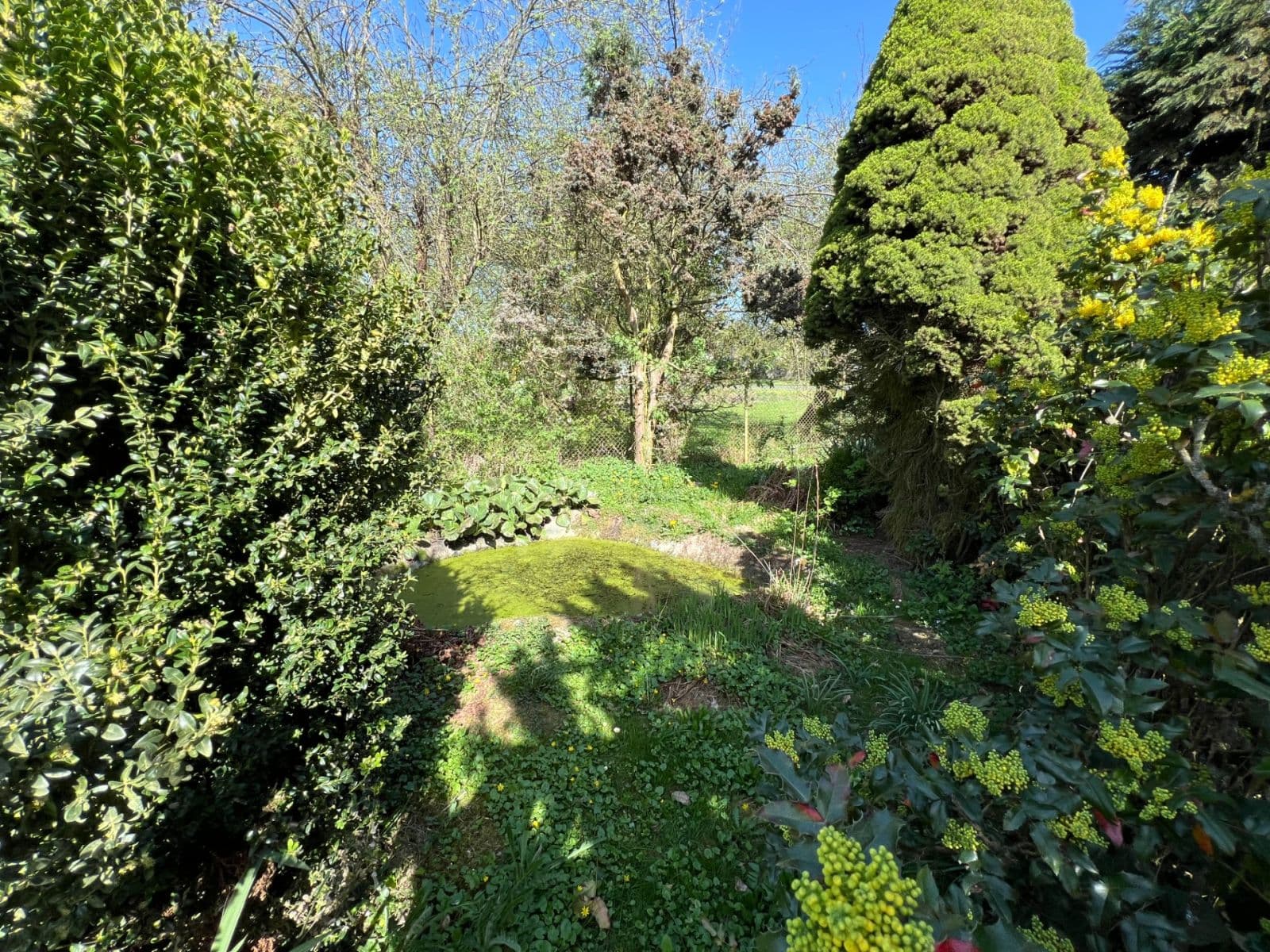 house for sale, 140 m², Katusice, Středočeský Region house for sale, 140 m², Katusice, Středočeský Region