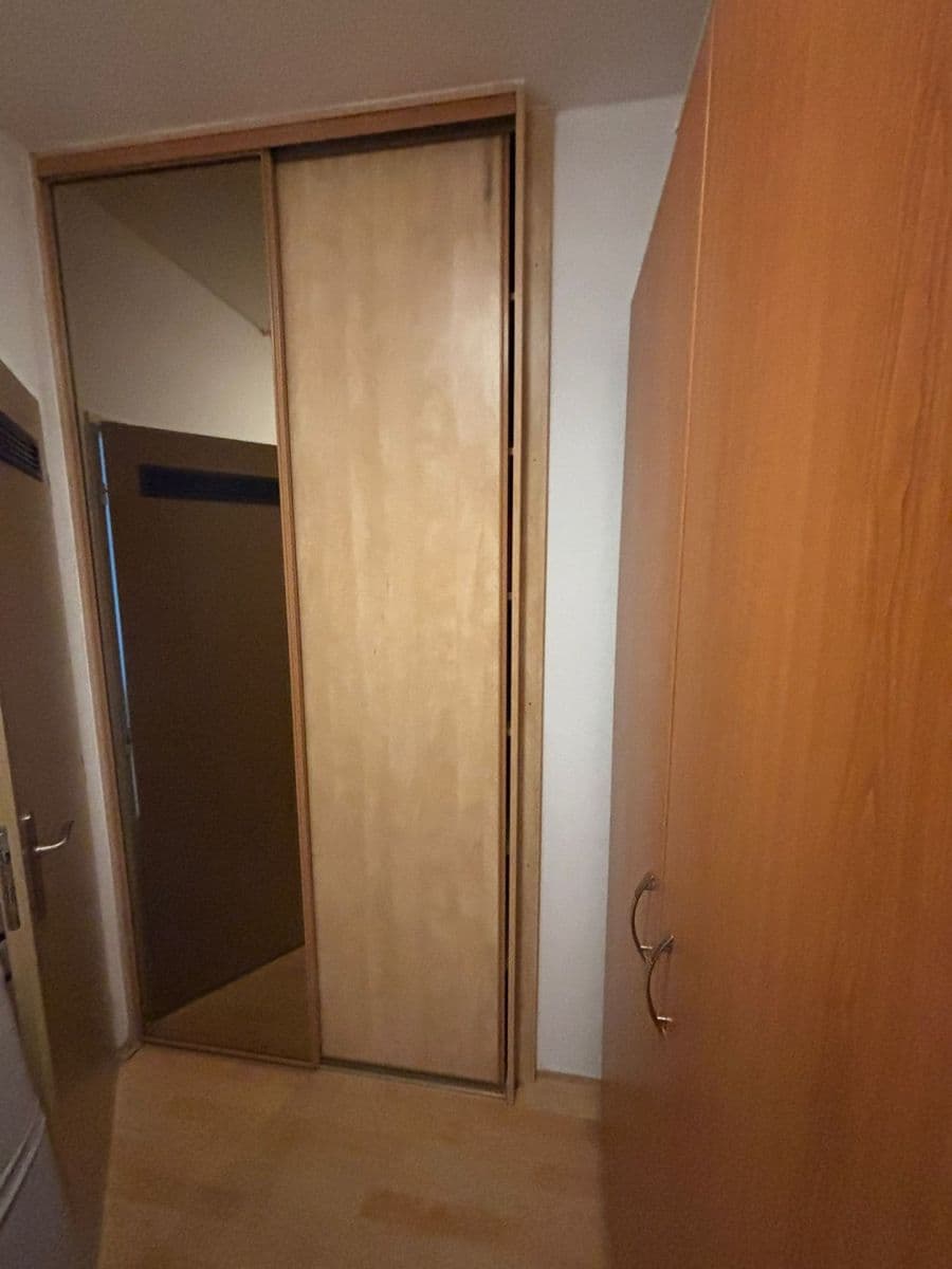 1 bedroom with open-plan kitchen flat to rent, 45 m², třída Generála Píky, Brno, Jihomoravský Region 1 bedroom with open-plan kitchen flat to rent, 45 m², třída Generála Píky, Brno, Jihomoravský Region