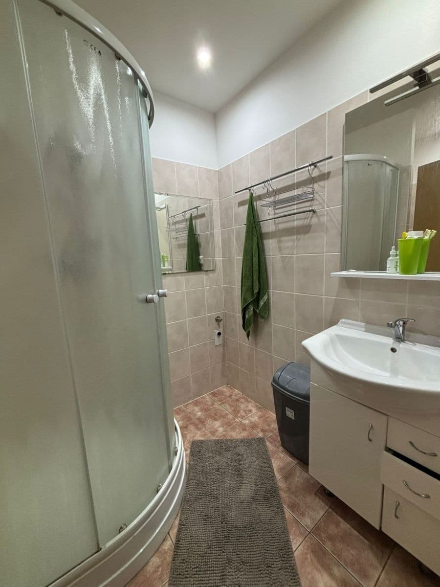 1 bedroom with open-plan kitchen flat to rent, 45 m², třída Generála Píky, Brno, Jihomoravský Region 1 bedroom with open-plan kitchen flat to rent, 45 m², třída Generála Píky, Brno, Jihomoravský Region