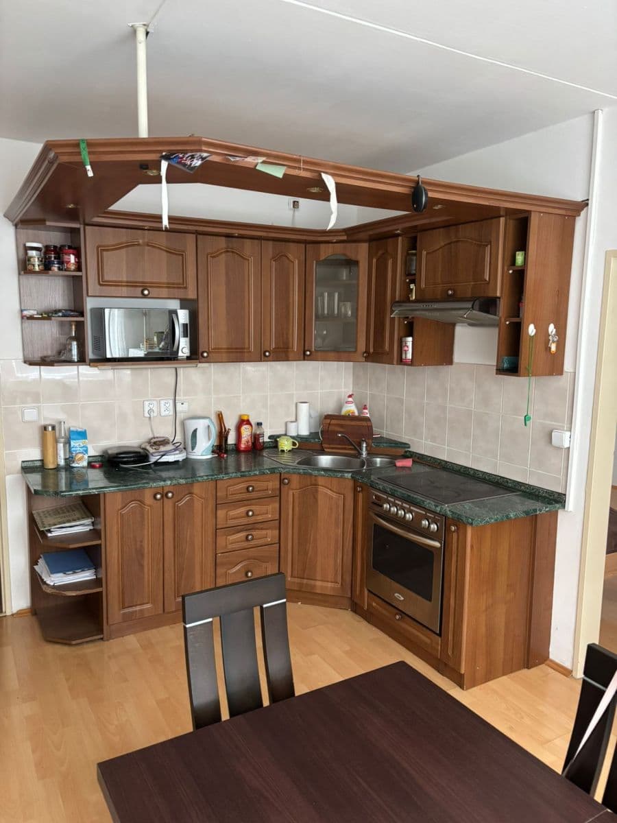 1 bedroom with open-plan kitchen flat to rent, 45 m², třída Generála Píky, Brno, Jihomoravský Region 1 bedroom with open-plan kitchen flat to rent, 45 m², třída Generála Píky, Brno, Jihomoravský Region