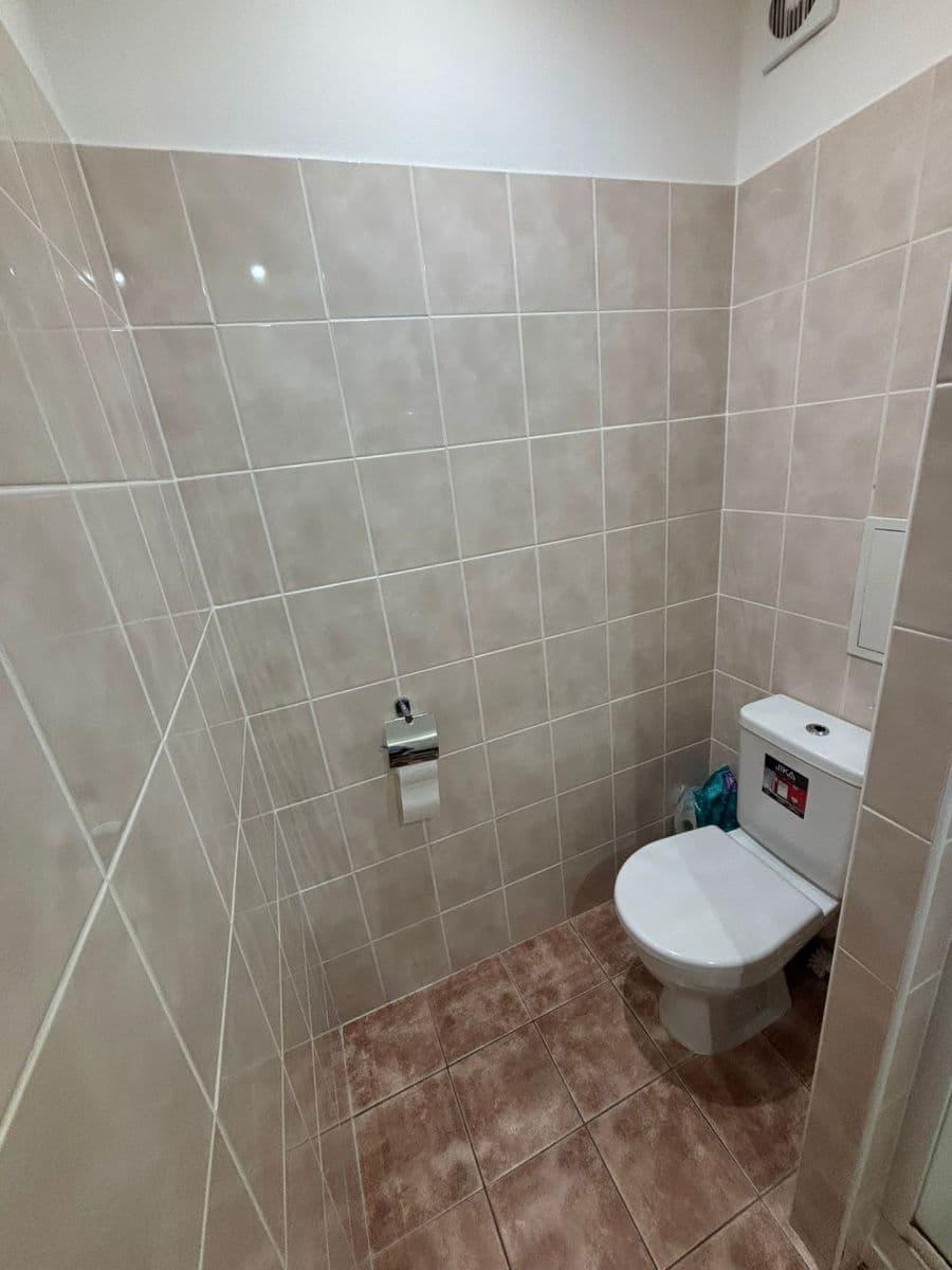 1 bedroom with open-plan kitchen flat to rent, 45 m², třída Generála Píky, Brno, Jihomoravský Region 1 bedroom with open-plan kitchen flat to rent, 45 m², třída Generála Píky, Brno, Jihomoravský Region