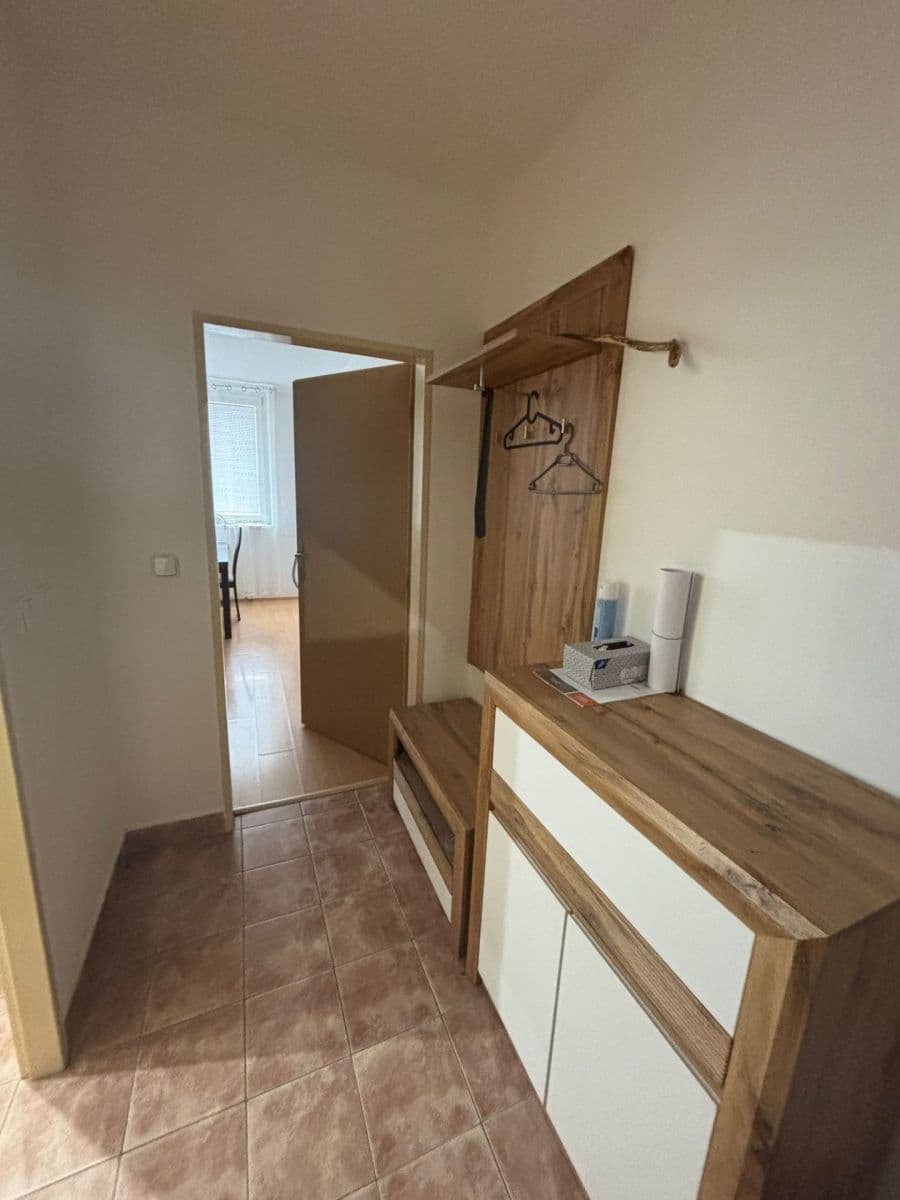 1 bedroom with open-plan kitchen flat to rent, 45 m², třída Generála Píky, Brno, Jihomoravský Region 1 bedroom with open-plan kitchen flat to rent, 45 m², třída Generála Píky, Brno, Jihomoravský Region