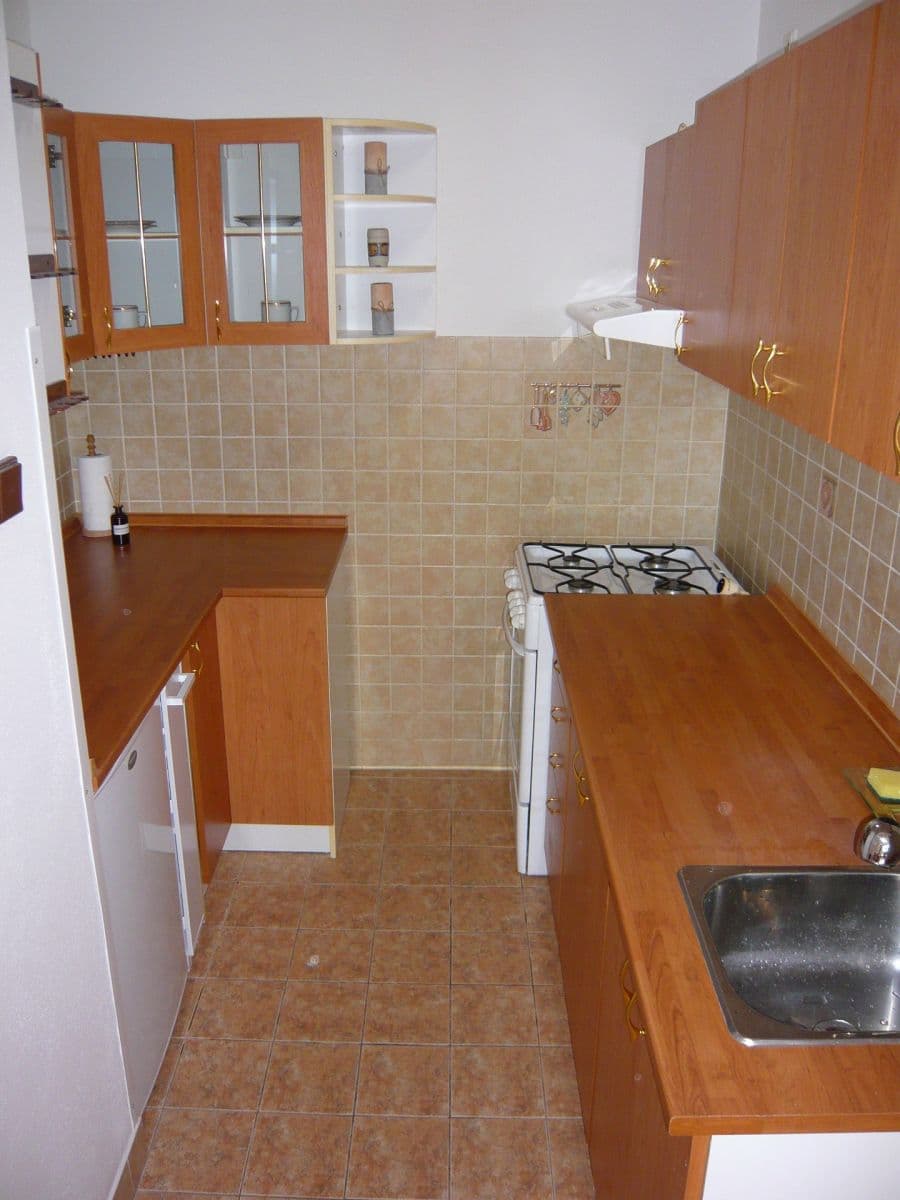 1 bedroom with open-plan kitchen flat to rent, 42 m², Anny Drabíkové, Prague, Prague 1 bedroom with open-plan kitchen flat to rent, 42 m², Anny Drabíkové, Prague, Prague