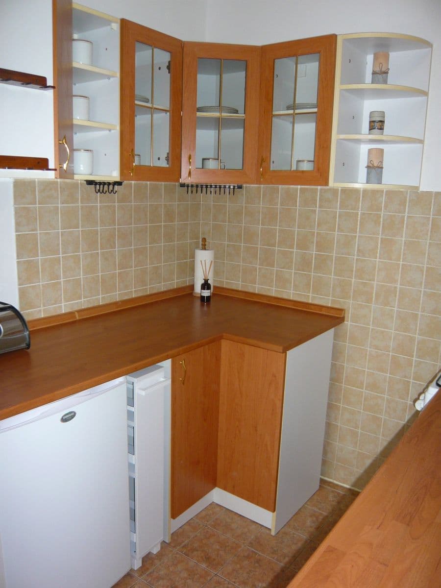 1 bedroom with open-plan kitchen flat to rent, 42 m², Anny Drabíkové, Prague, Prague 1 bedroom with open-plan kitchen flat to rent, 42 m², Anny Drabíkové, Prague, Prague