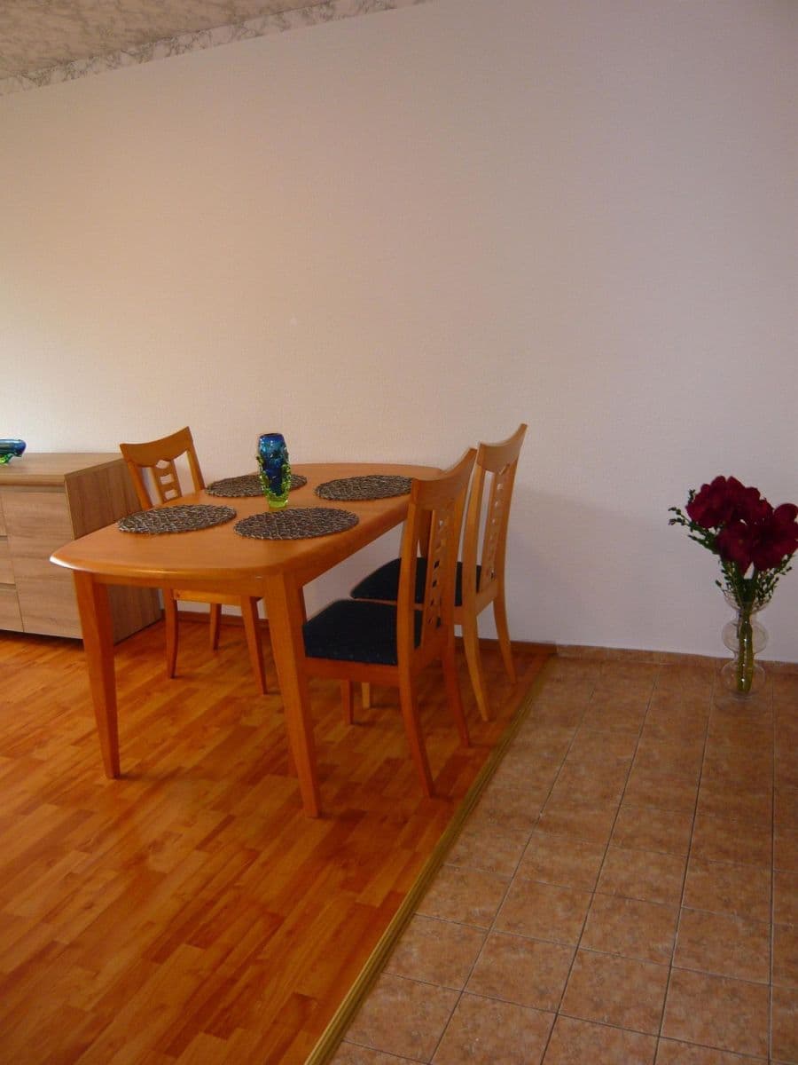 1 bedroom with open-plan kitchen flat to rent, 42 m², Anny Drabíkové, Prague, Prague 1 bedroom with open-plan kitchen flat to rent, 42 m², Anny Drabíkové, Prague, Prague