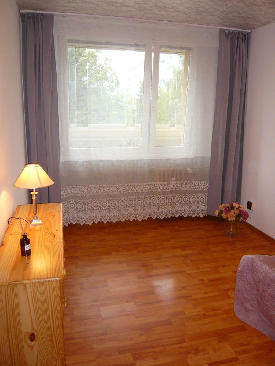 1 bedroom with open-plan kitchen flat to rent, 42 m², Anny Drabíkové, Prague, Prague 1 bedroom with open-plan kitchen flat to rent, 42 m², Anny Drabíkové, Prague, Prague