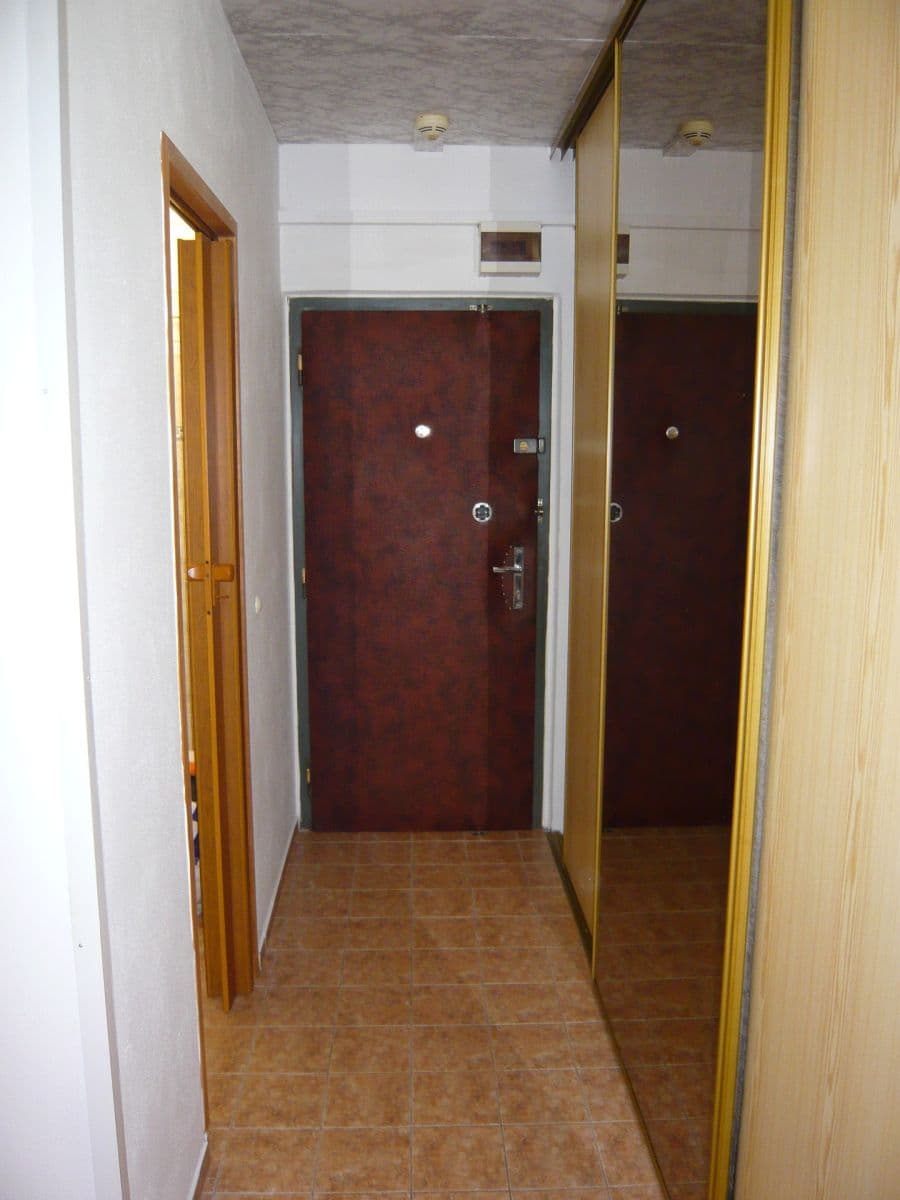 1 bedroom with open-plan kitchen flat to rent, 42 m², Anny Drabíkové, Prague, Prague 1 bedroom with open-plan kitchen flat to rent, 42 m², Anny Drabíkové, Prague, Prague
