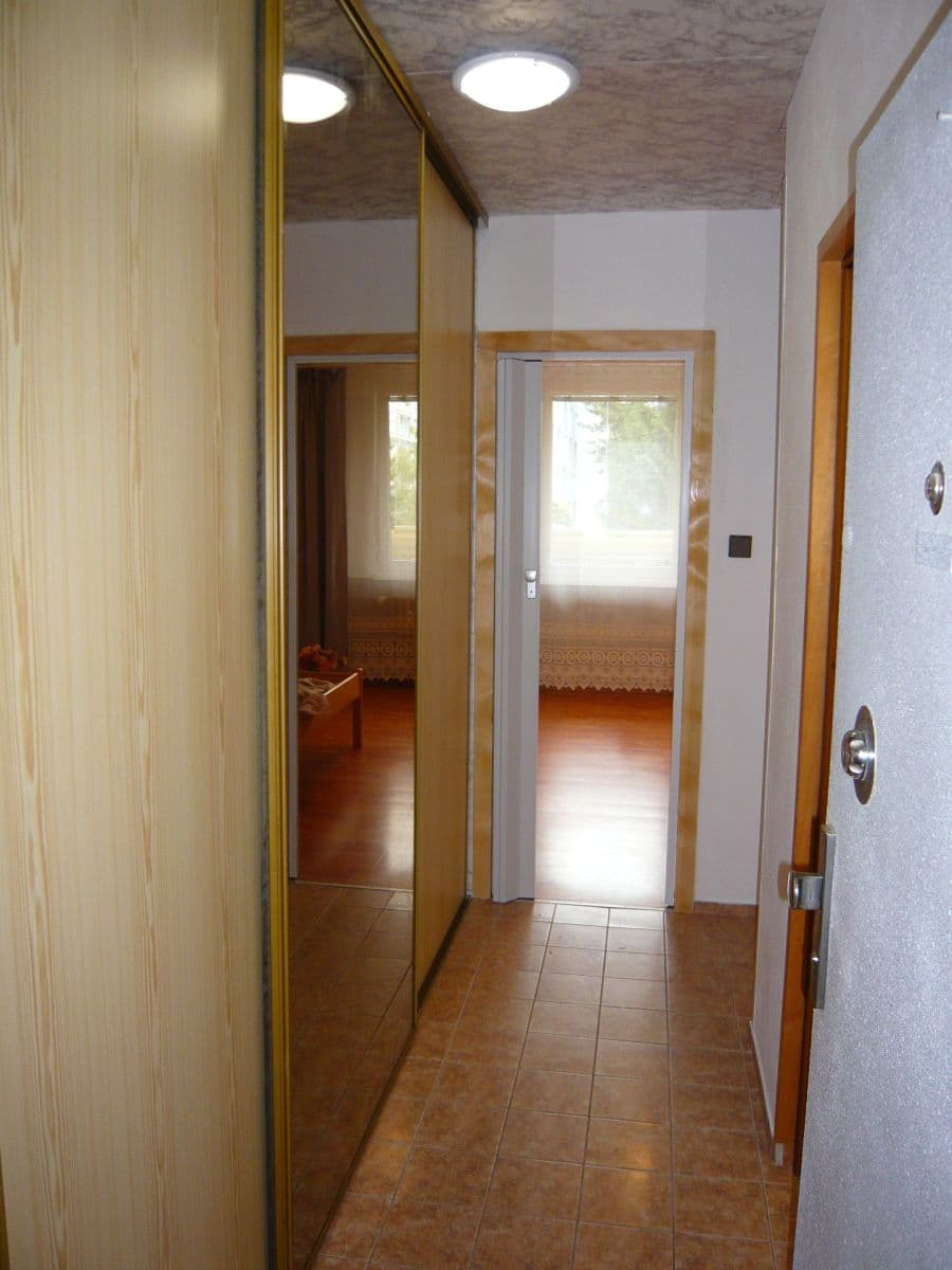 1 bedroom with open-plan kitchen flat to rent, 42 m², Anny Drabíkové, Prague, Prague 1 bedroom with open-plan kitchen flat to rent, 42 m², Anny Drabíkové, Prague, Prague