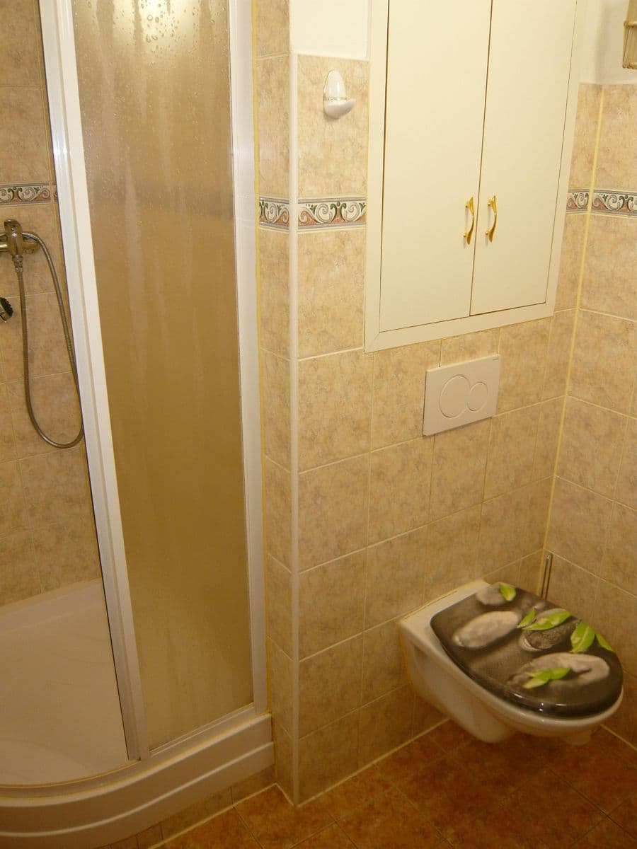 1 bedroom with open-plan kitchen flat to rent, 42 m², Anny Drabíkové, Prague, Prague 1 bedroom with open-plan kitchen flat to rent, 42 m², Anny Drabíkové, Prague, Prague